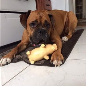 Meet your Posher, Sylvie